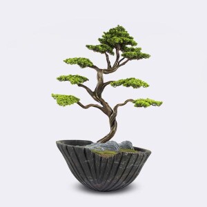 Algenib Thuja-3 - TepeHome