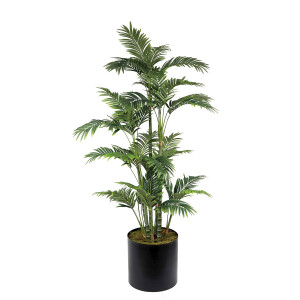 Areka 180cm Ağaç - TepeHome