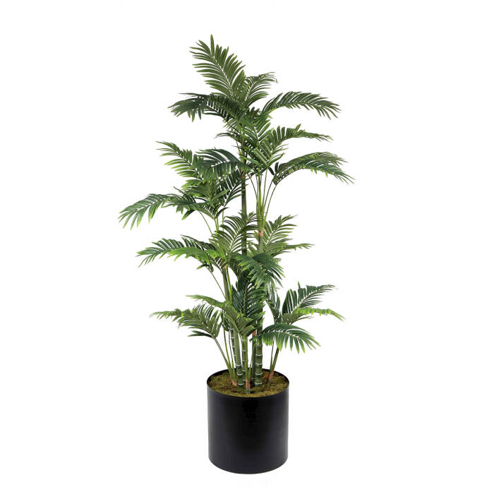 Areka 180cm Ağaç - 1