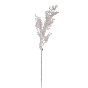 Beyaz Okaliptüs Dalı - TepeHome