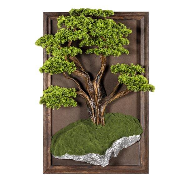 Bonsai Tablaeu - 1