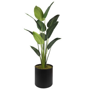 Deve Tabanı180cm - TepeHome