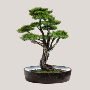 Işıklandırılmış Bonsai Ağacı-1 - 1