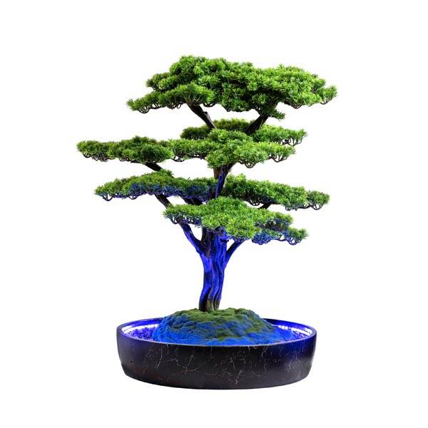 Işıklandırılmış Bonsai Ağacı-2 - 1
