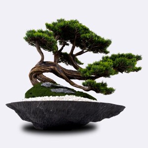 Kursa Thuja-3 - TepeHome (1)