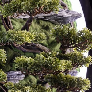 Led Işıklı Yuvarlak Bonsai Tablo-2 - 3