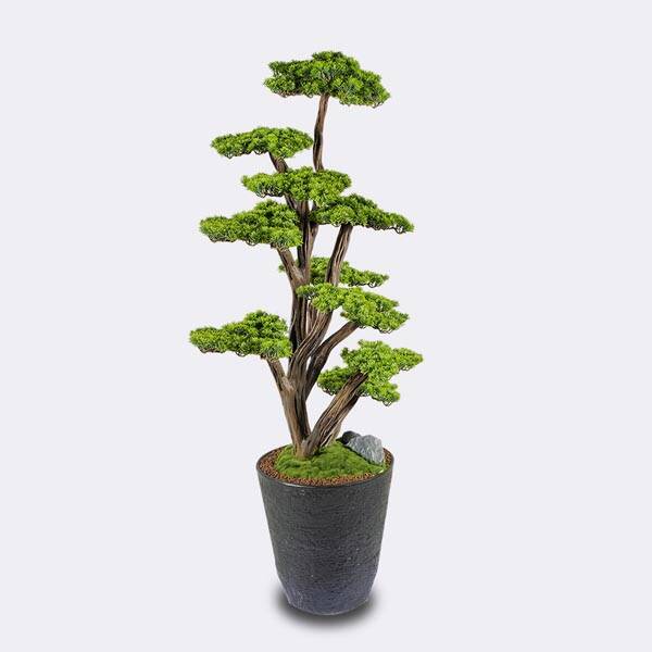 Orion Bonsai-2 - 1