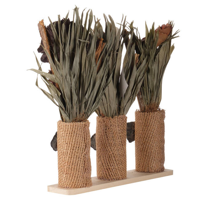 Saksıda Kuru Çiçek Natural - 2