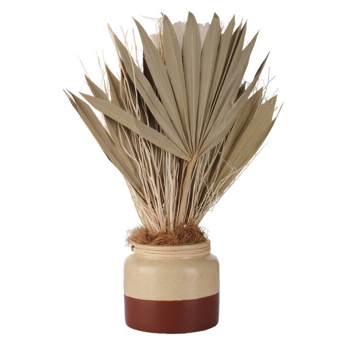 Seramik Saksıda Kuru Çiçek Buketi - 2