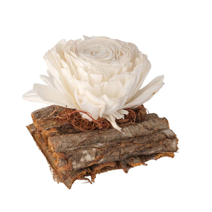 Shola Kuru Çiçek Yatağı Dekoru - 2