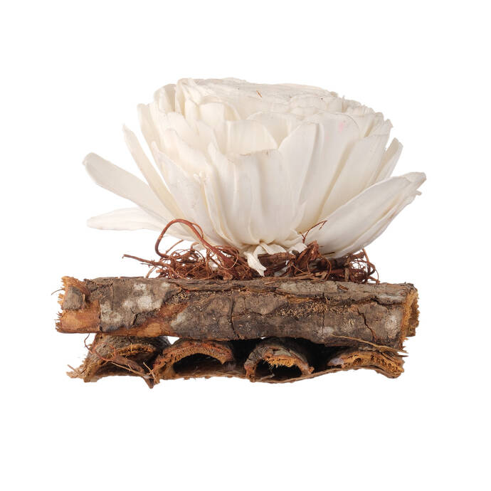 Shola Kuru Çiçek Yatağı Dekoru - 1