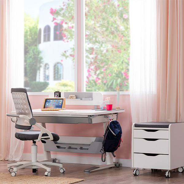 Sirius Dlxe Çalışma Masası Sandalye Set - 2