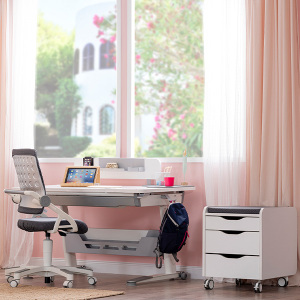 Sirius Dlxe Çalışma Masası Sandalye Set - 3