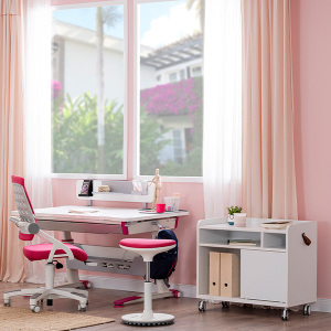 Sirius Pr Pls Çalışma Masası Sndalye Set - 3