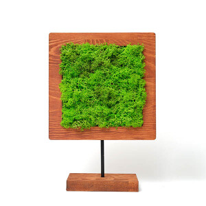 Square Moss Yosunlu Dekoratif Obje - TepeHome