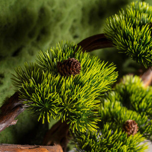 Bonsai Tablaeu Grande-4 - 6