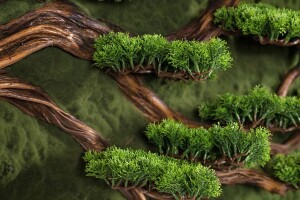 Bonsai Tablaeu Grande-4 - TepeHome (1)