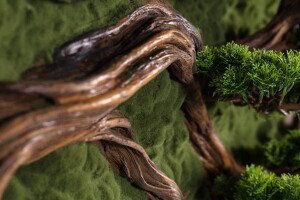 Bonsai Tablaeu Grande-4 - 3