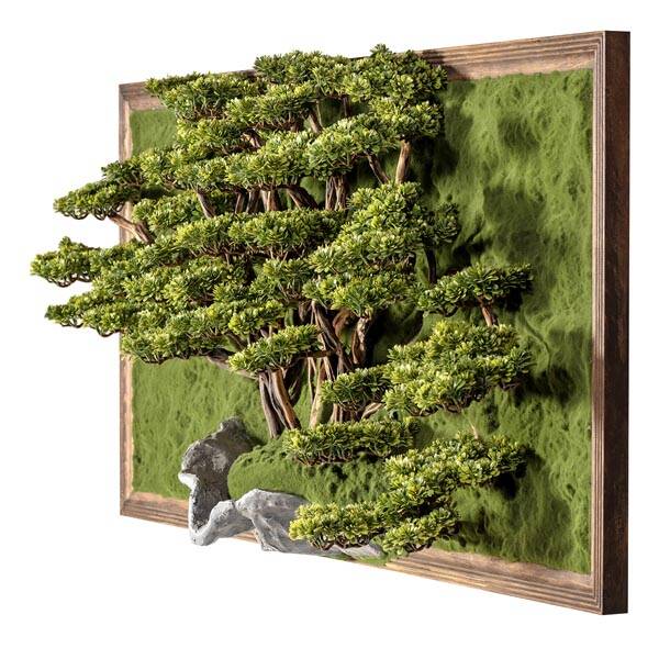 Bonsai Tablaeu Grande-5 - 2