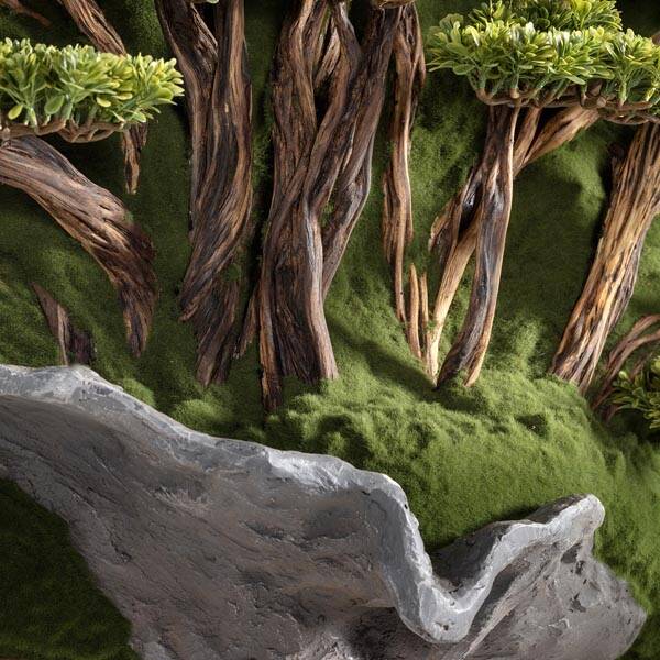 Bonsai Tablaeu Grande-5 - 3