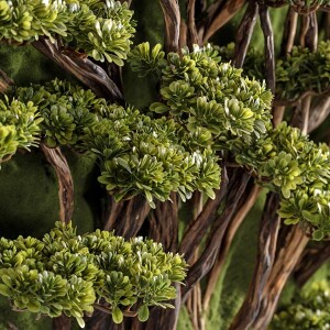 Bonsai Tablaeu Grande-5 - 4