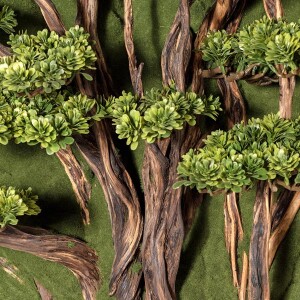 Bonsai Tablaeu Grande-5 - 5