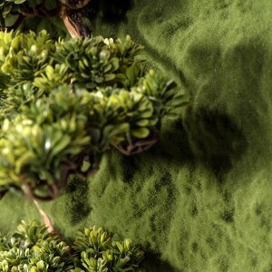 Bonsai Tablaeu Grande-5 - 6