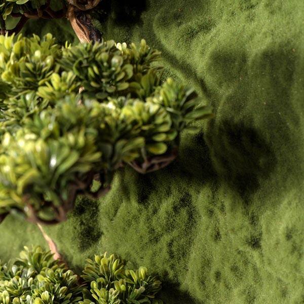 Bonsai Tablaeu Grande-5 - 6