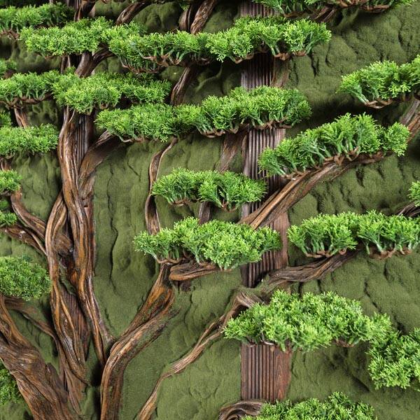 Bonsai Tablaeu Grande-6 - 2