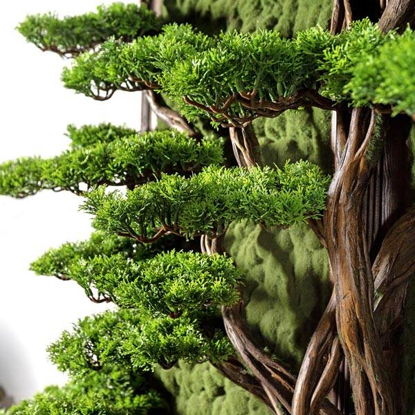 Bonsai Tablaeu Grande-6 - 4