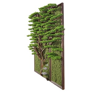 Bonsai Tablaeu Grande-6 - 5