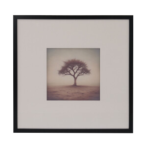 Tpe-1018 Çerçeveli Cam Tablo 60X60 Cm - 1