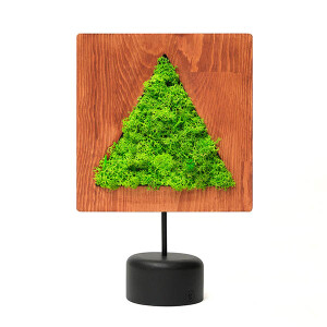 Triangular Moss Yosunlu Dekoratif Obje - TepeHome
