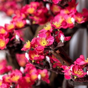 Üçlü Sakura Tablo - Kırmızı - TepeHome (1)