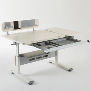 Vega Standart Çalışma Masası Ekru- Gri - 3